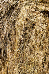 Straw bale, close up. Hay texture background.