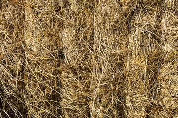 Straw bale, close up. Hay texture background.