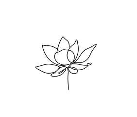 Vector isolated lilly flower one line drawing. Line art blossom black line outline drawing sketch.  - obrazy, fototapety, plakaty