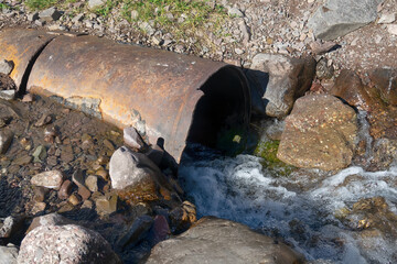 culvert was washed away by the waters of stream - obrazy, fototapety, plakaty