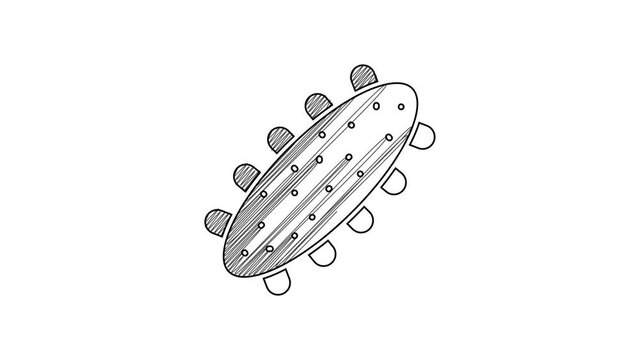 Black line Sea cucumber icon isolated on white background. Marine food. 4K Video motion graphic animation