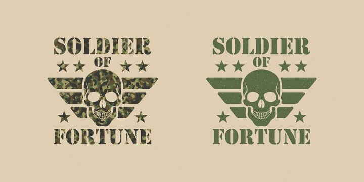 Set of color illustrations of skull, wings, star, text on a background with a grunge texture. Design element for poster, banner, emblem, print and sticker. Vector illustration. Army symbol.