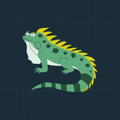 Cute green iguana with funny eyes. Isolated hand drawn animals. Adorable lizard logo in flat style. Baby character vector illustration.