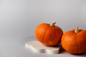 Small orange pumpkin on grey background with copy space. Concept celebration of Halloween or Thanksgiving. Product podium for halloween. Autumn still life