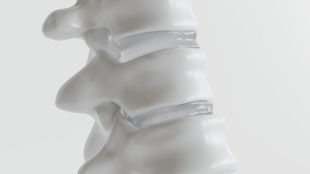 Spinal as close-up as 3D Rendering