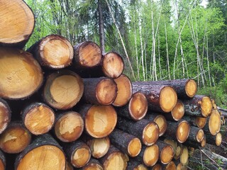 wood, texture, sawn, log