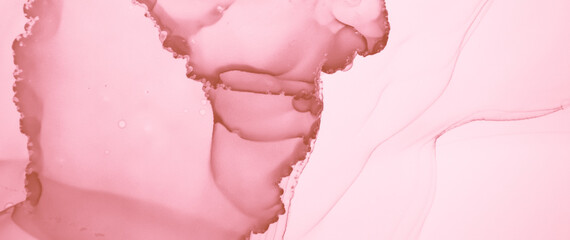 Obraz na płótnie Canvas Feminine Liquid Marble. Abstract Mix. Ink Flow