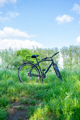 Fahrrad steht im grünen