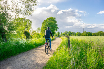 Radfahrer fährt auf Fahrradweg im grünen
