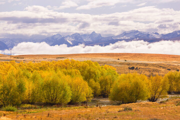 Obraz premium Autumn in New Zealand