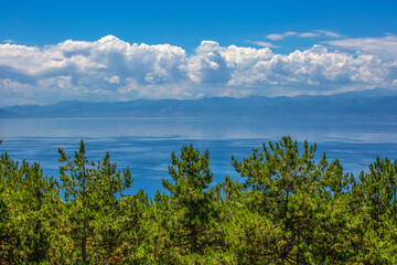 Fototapeta na wymiar panoramic mediterranean blue sea and sky amd green Pine trees