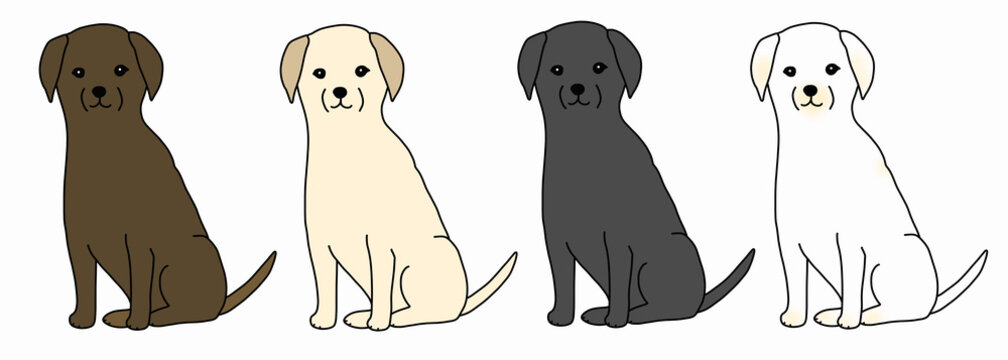 介助犬 Images Browse 619 Stock Photos Vectors And Video Adobe Stock
