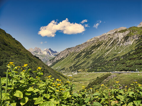 Landscape of the Arlberg covered in greenery under the sunlight and a blue sky in Austria