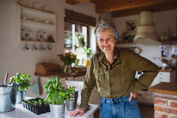 Happy senior woman planting herbs indoors at home, looking at camera.
