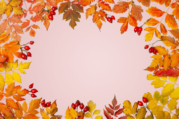 Obraz premium Autumn background. A frame made of autumn leaves. Autumn banner. Background with copy space. Horizontal. Top view.