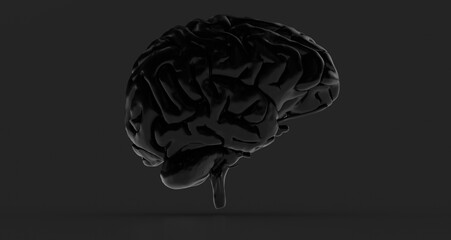Human brain Anatomical Model 3d