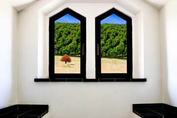 Paysage d'un arbre isolé devant une forêt vu à travers deux anciennes fenêtres