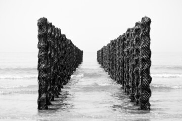 moules bouchot de la côte d'opale, photographie d'art, paysage marin