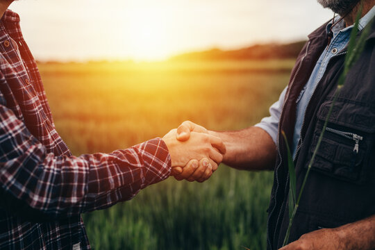 Close up farmers handshake outdoor on a field
