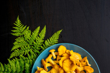 Top view of fresh chanterelles mushrooms on dark table and with place for text.