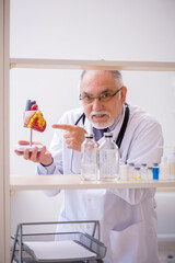 Old male doctor cardiologist working in the clinic