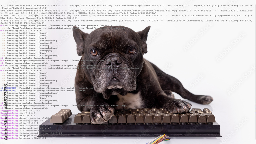Wall mural bulldog with computer keyboard and stock data