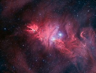 Fototapeta na wymiar The Cone nebula in the constellation Monoceros