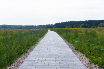 A road made of tiles that goes into the distance of the field