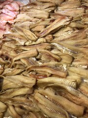 fresh fish at the market