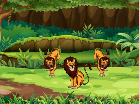 Jungle background with lions,  lions give out among the trees, lion family in the jungle, animals in forest, close up of 3 lions, lion farm nature background and vector illustration