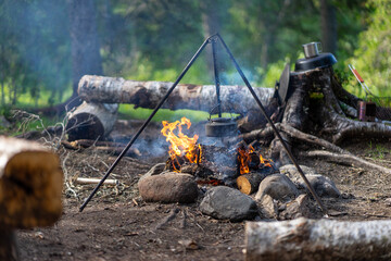 campfire in the woods