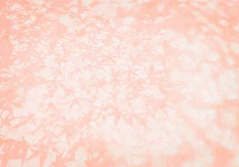 Foto op Plexiglas モミジの葉影を和紙に写した、パステル調の紅葉イメージ © AGRX