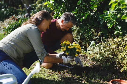 Happy senior caucasian couple gardening together in sunny garden