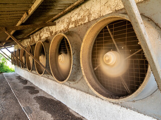 A row of exhaust fans from the livestock house