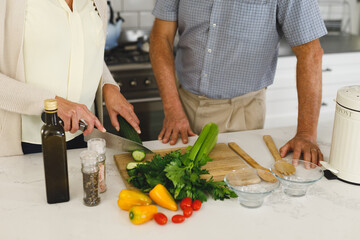 Happy senior caucasian couple in modern kitchen, cooking together