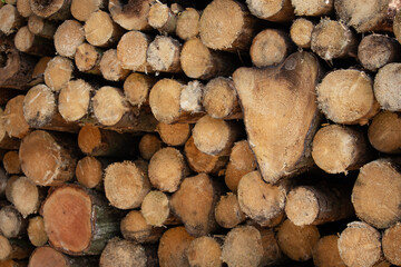 Holzstapel