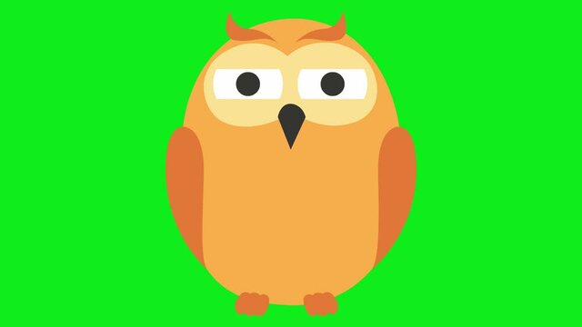 Animated funny owl. Looped video. Vector illustration isolated on a green background.