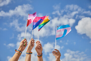 LGBTQ pride, hands with a flags as a symbol of lesbian, gay, bisexual, transgender and queer.