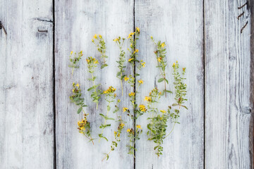 Medicinal hypericum with yellow flowers lies on a wooden table, in the form of a circle. Top view.