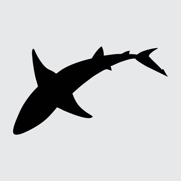 recommend clip art: Shark Silhouette, Shark Isolated On White Background