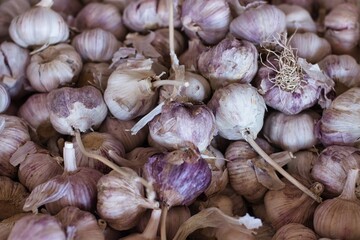 garlic on market