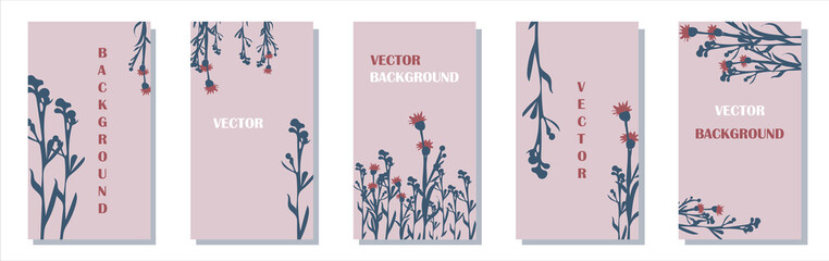 background for social media stories and banners. field plant thistle. Set. Place for an inscription. vector stock illustration. Modern template. Brochure, cover. pink background
