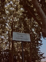 no sign in the forest