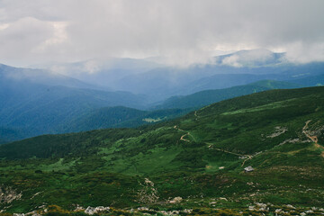 Fototapeta premium Forest. Green mountain forest landscape. Misty mountain forest. Fantastic forest landscape. Mountain forest in clouds landscape. Foggy forest. Mountain forest landscape. Dark forest in haze landscape.