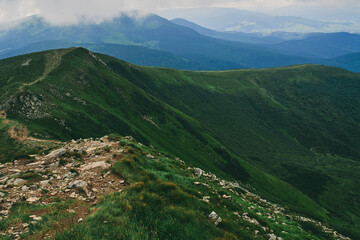 Fototapeta premium Mountains and plains with green lush grass and stones. Mountain forest in the fog of clouds. Mountain forest landscape.