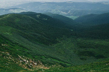 Fototapeta premium A landscape of a mountainous area covered with grass and stones. Mountains covered with fog and clouds. Landscape of a forest covered with fog.
