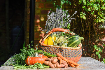 Fresh grown organic vegetables in a basket for harvest festival season