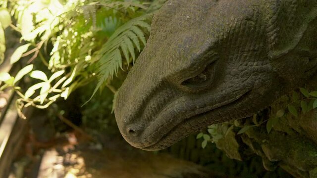 Axel Closeup of giant reptile head. Calm still monitor lizard looking down, sitting in the shade. Enormous dinosaur-like carnivore patiently waiting for comfort time to go outside. Concept of wildlife