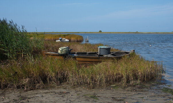 Bei Gollwitz auf der Insel Poel, im Hintergrund Vogelschutzinsel Langenwerder