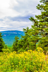 Obraz premium Landscape Panorama view on top of Brocken mountain Harz Germany